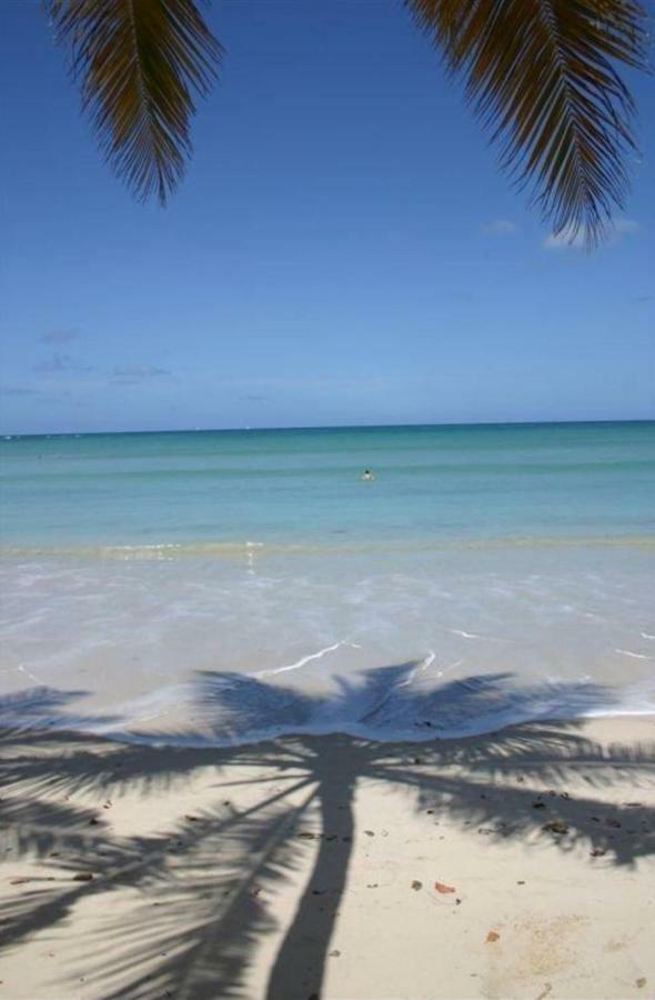 L'Hibiscus Piscine Et Plage Sainte-Luce Bagian luar foto